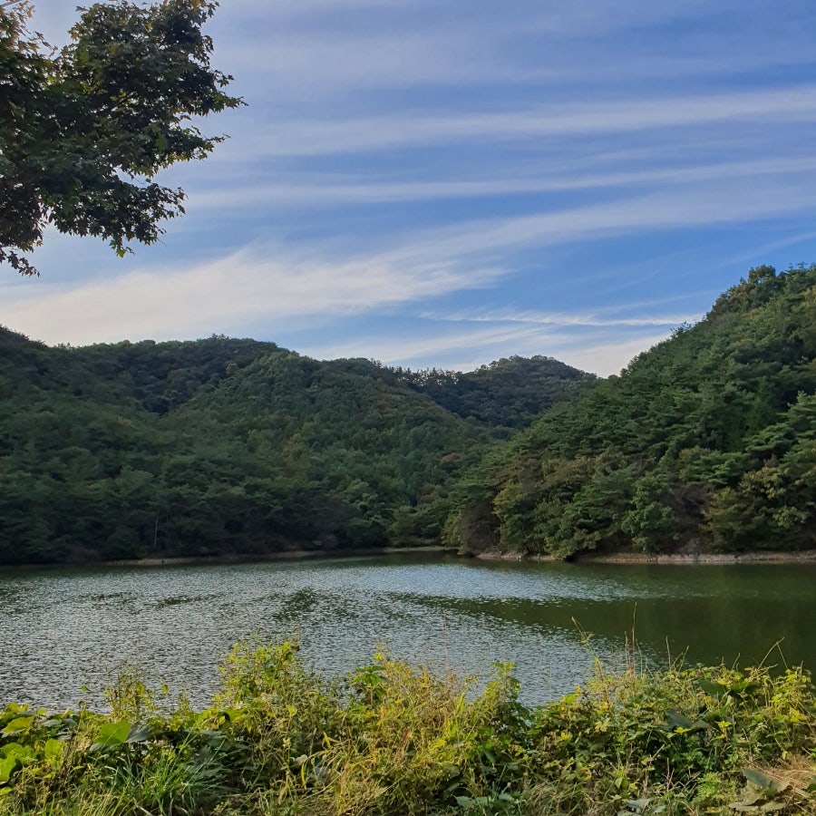 신광제 사진 2