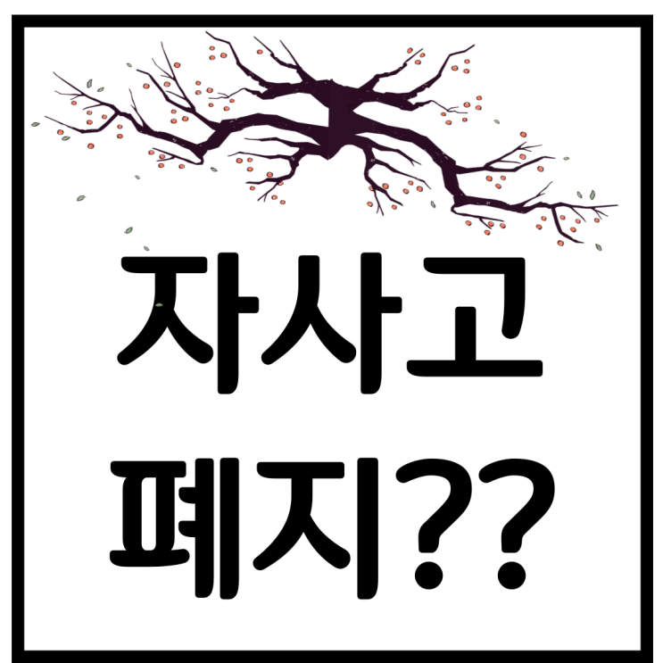  자사고 폐지 - 자사고 뜻과 강남 8학군 부활