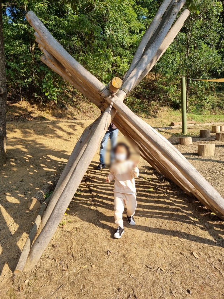  체험/평택/부락산 문화공원 숲놀이터, 유아숲체험원(주차 tip)