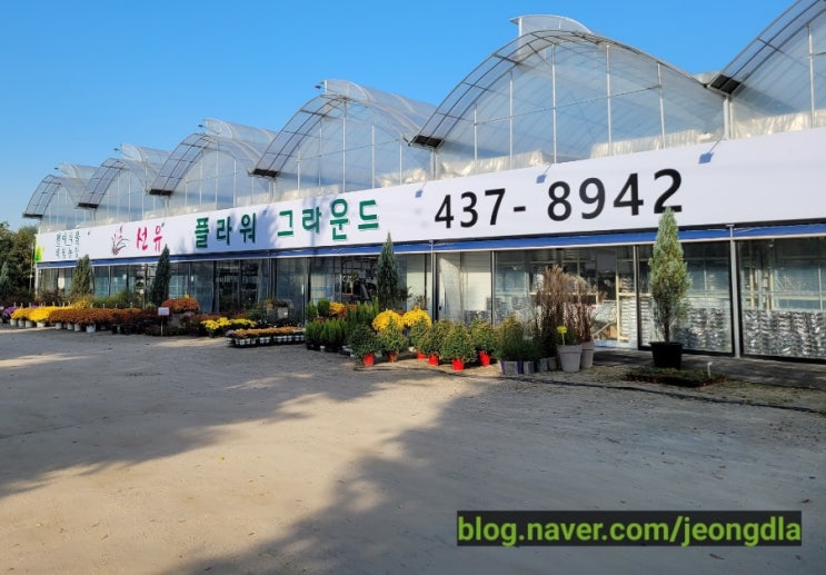  인천 구월동 많은 식물들이 숨쉬는 공간 [선유플라워그라운드]