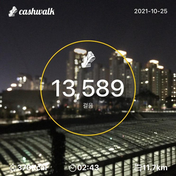 2021년 10월 25일 산책 일지 2021년 10월 25일 산책 일지