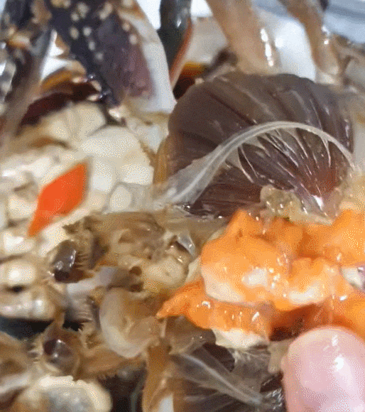 홈쇼핑 간장게장 택배 맛집! 서산 간장게장 이영희간장게장 무조건 이걸로!!