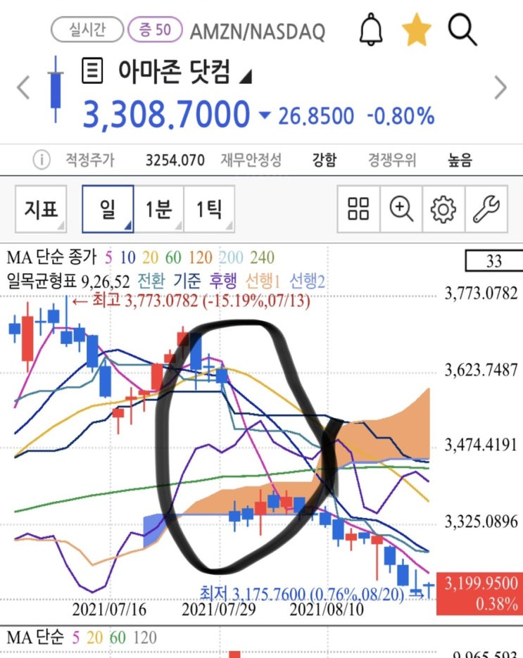 테슬라 허츠 전기차 구매계획, 신고가 전기차 관련주 대장주 갭상승 갭하락 뜻 (캔들 주식 차트 보는법)