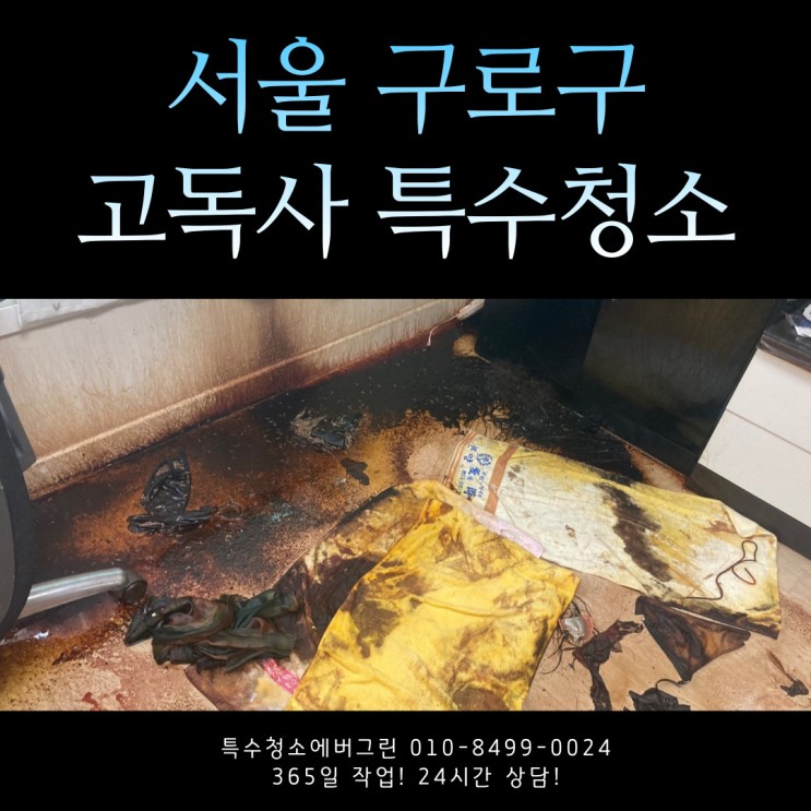 서울 구로구 특수청소 - 16평 3룸 고독사특수청소