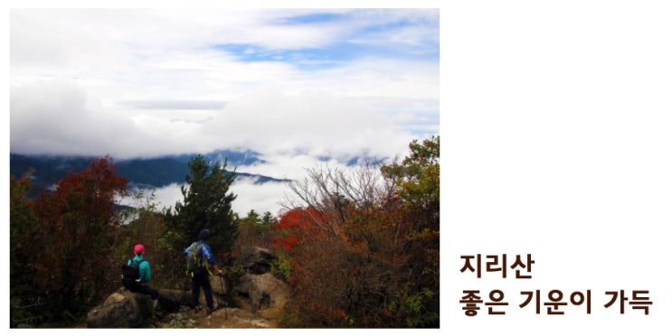  지리산.산의 기운이 좋은 지리산 산야초