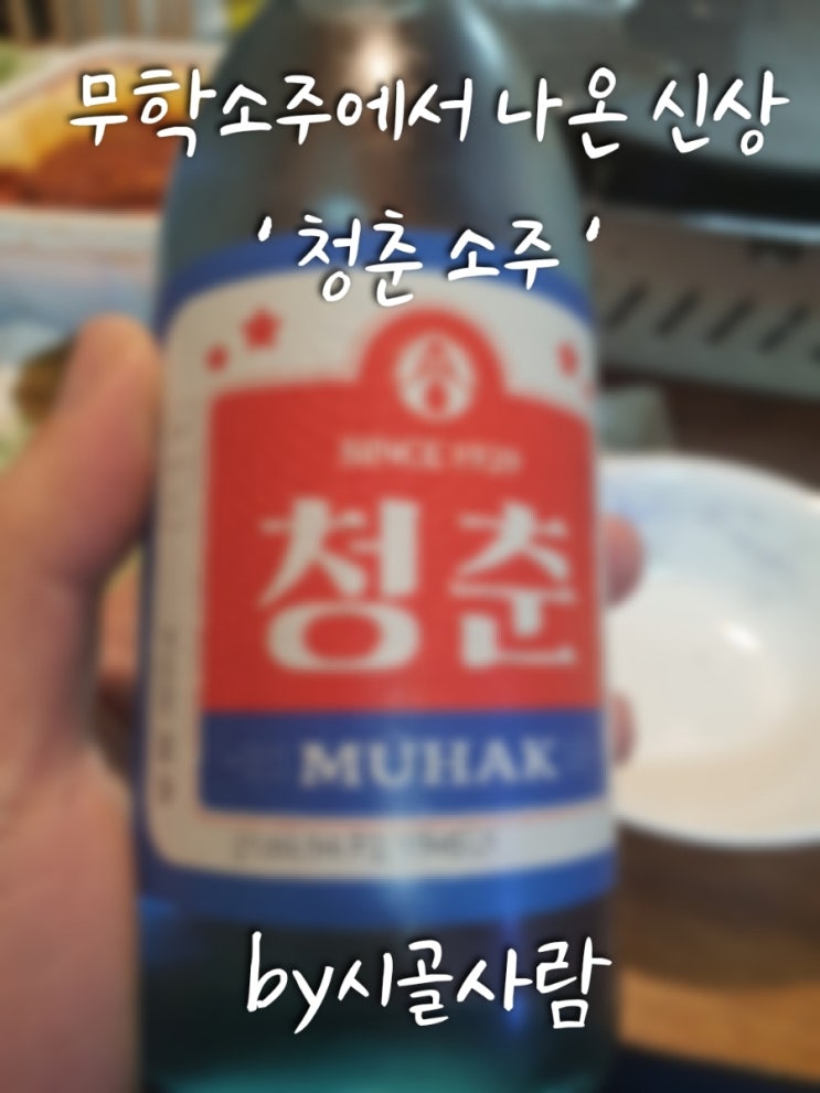  무학소주 신상품 후기 '청춘 소주 '