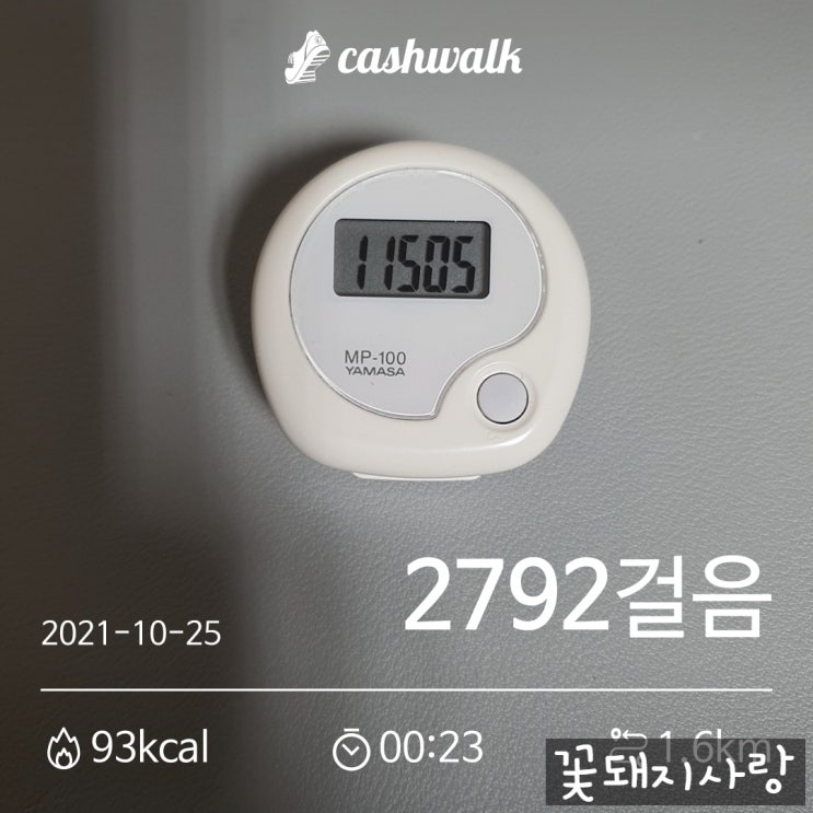  D+77 삼겹살에서 목살로