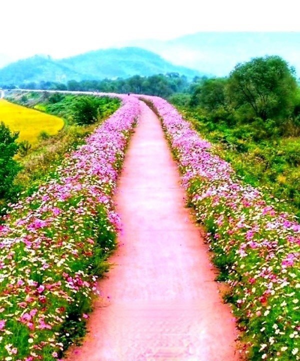 배려는 감동의 매직 배려는 감동의 매직