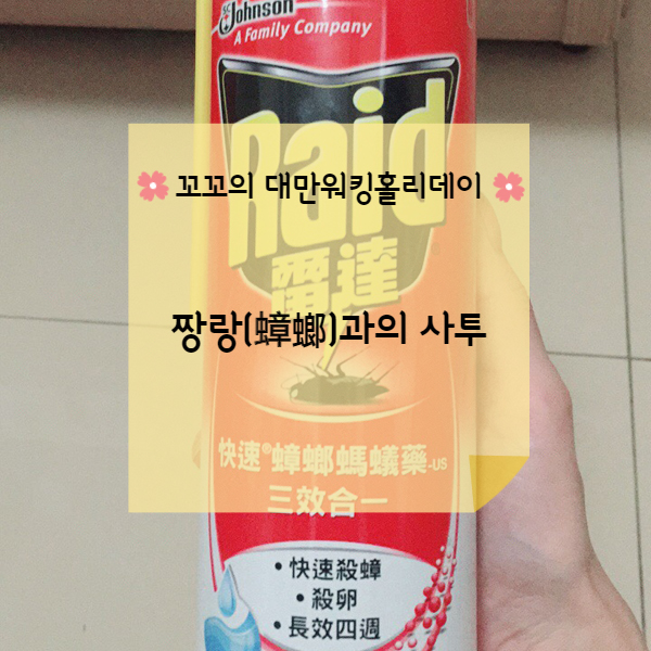  [대만워홀] 스얼궈(石二鍋) & 짱랑(蟑螂) 짱랑 극혐