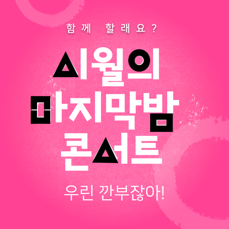 속초 시월의 마지막밤 콘서트 및 청초호 국화전 속초 시월의 마지막밤 콘서트 및 청초호 국화전