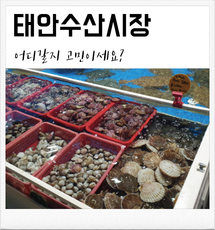 [태안몽산포수산시장]인생 조개,새우구이를 맛보았던 지웅호수산(+가격시세정보)