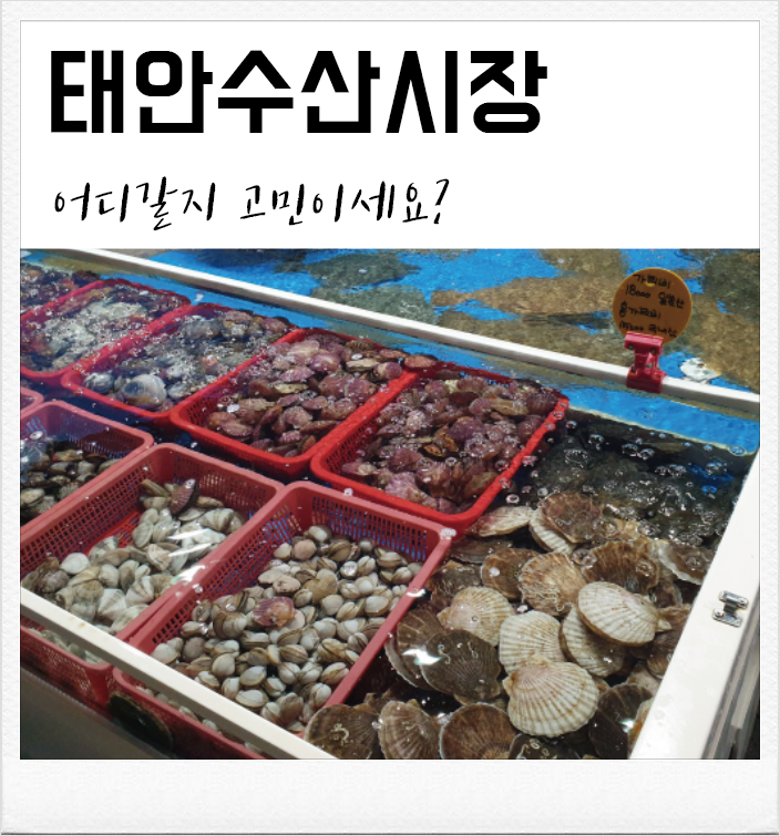  [태안몽산포수산시장]인생 조개,새우구이를 맛보았던 지웅호수산(+가격시세정보)