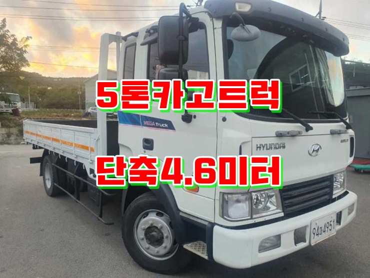  중고 5톤 카고트럭 단축 화물차 매매