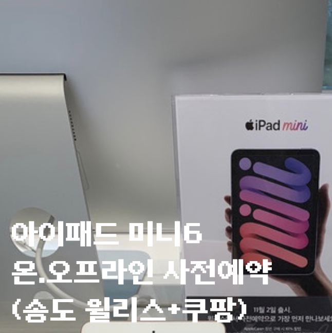 아이패드 미니6 온라인, 오프라인 사전예약은 쿠팡, 윌리스송도