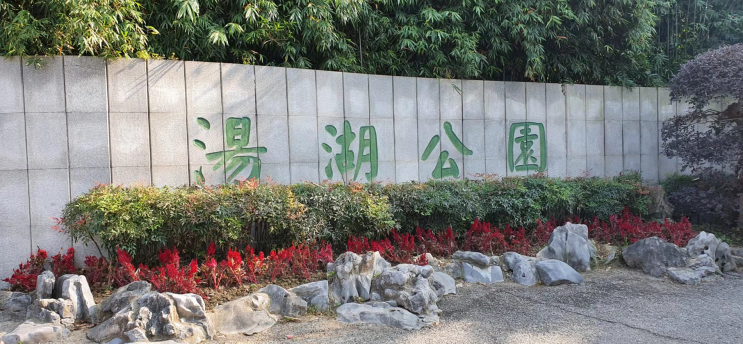 중국 우한 주말 가족 산책, 아주 작은 탕후공원(湯湖公園) 나들이