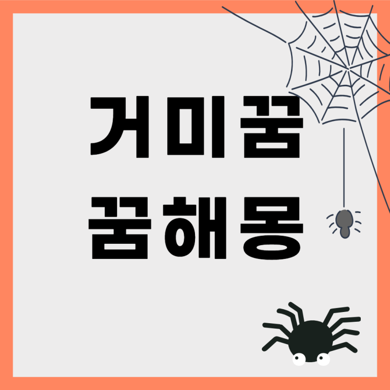 거미 해몽과 집에 거미 해몽 총정리