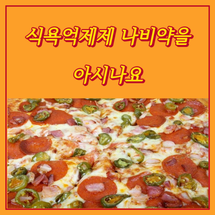  식욕억제제 나비약이라고 아십니까?