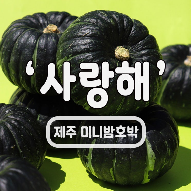 핵가성비 좋은 포슬포슬 엄선한 제주 미니 밤호박 보우짱 단호박 3kg 5kg 10kg, 01.중3kg(10입내외) 추천합니다 핵가성비 좋은 포슬포슬 엄선한 제주 미니 밤호박 보우짱 단호박 3kg 5kg 10kg, 01.중3kg(10입내외) 추천합니다