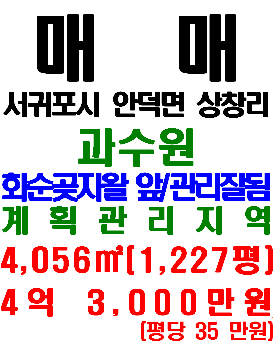  서귀포시 안덕면 상창리 관리 잘 된 과수원 토지 매매(매물번호 578)