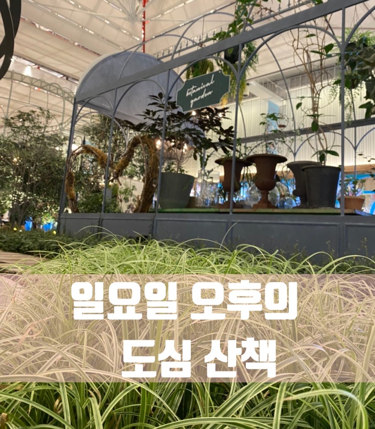  일요일 오후의 나들이~ 가을 단풍을 기대했지만 아직 살짝 이른 듯! 갑작스러운 여의도 산책~