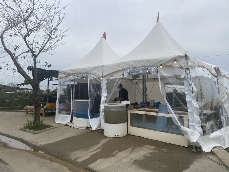  [내돈내산]무항생제로 안심하고 먹는 왕새우 - 강화도 대명양식장