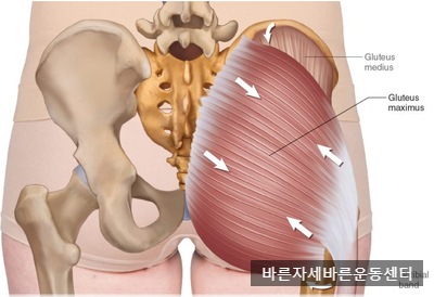  [서래마을PT]X자 다리 교정운동(누워서 하는 운동 편)
