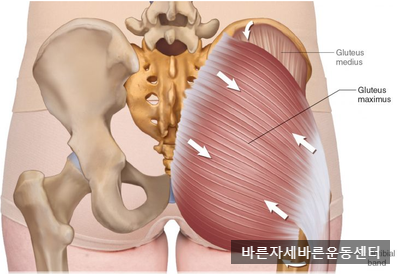 [서래마을PT]X자 다리 교정운동(누워서 하는 운동 편)