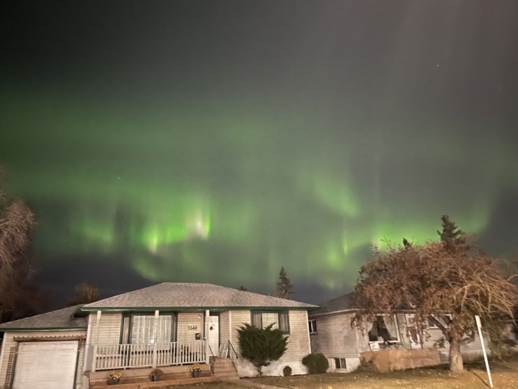  일상1 : 오로라 (Aurora)
