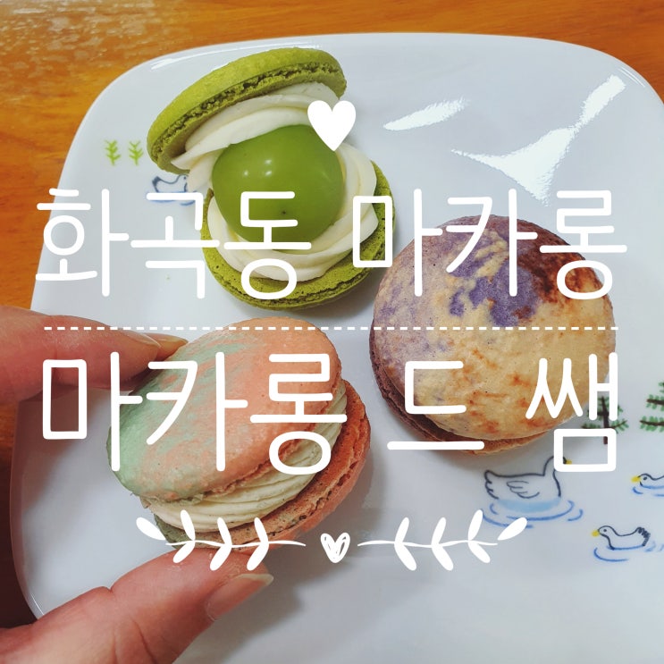  까치산/ 화곡동마카롱 마카롱드쌤 가성비 좋은 수제 마카롱 :)