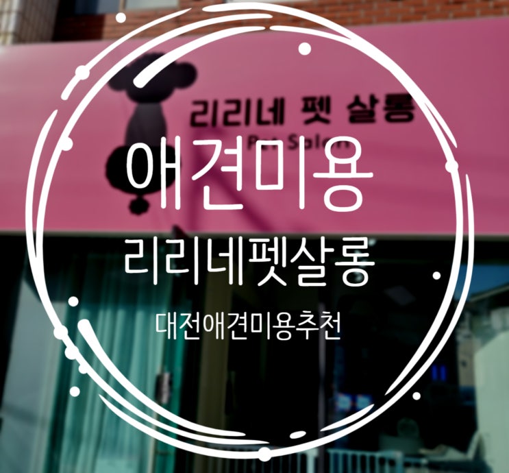  애견미용 대전애견미용 리리네펫살롱 다녀왔어요!