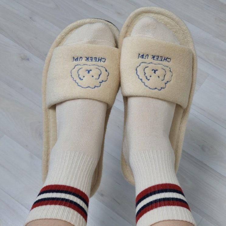  8족 9,990원 가성비갑 / 코스트코 할인 싹스탑 아동 양말 추천: 성인 여자도 찰떡!