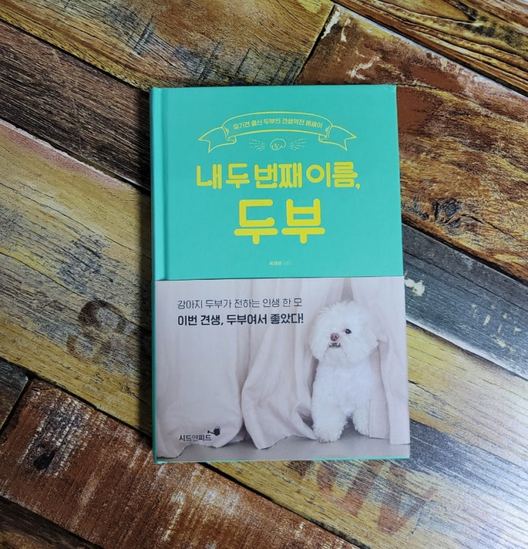  [독서] 내 두 번째 이름, 두부 / 유기견 출신 두부의 견생역전 에세이 / 곽재은  시드앤피드  2019.09.20 추천 강아지책 , 애견인 선물하기좋은책