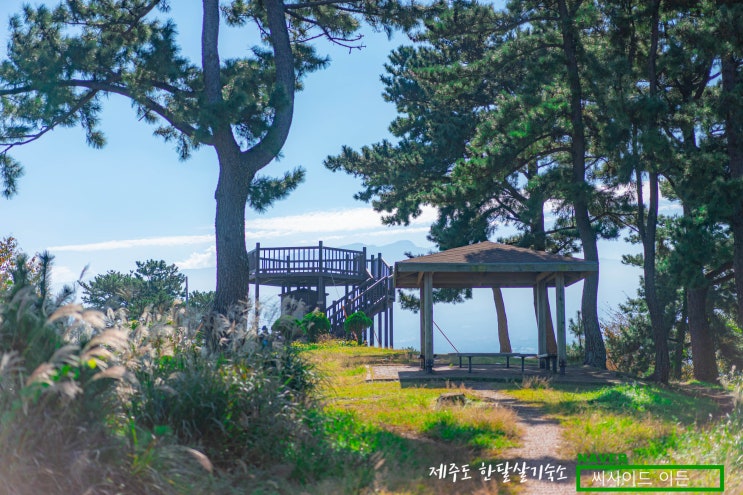  제주 한달살기 숙소 SE 추천 "민오름(오라동)"