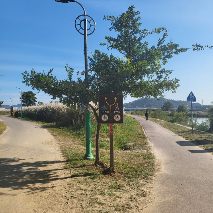  일상 : 태화강 억새 군락지에 산책 갔다 왔어요.