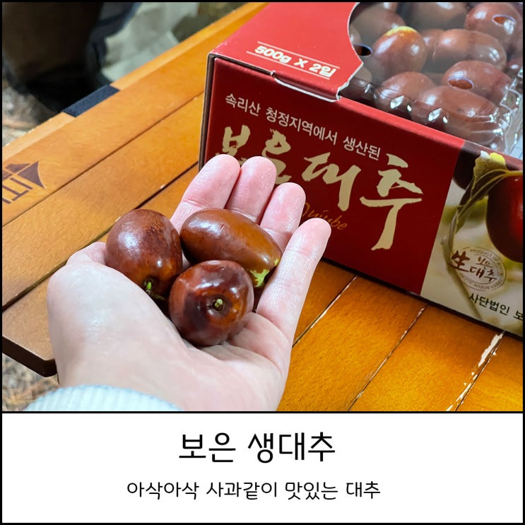  보은 대추축제 _ 맛있는 생대추 먹고 속리산 구경까지 (feat. 생대추 가격과 효능)