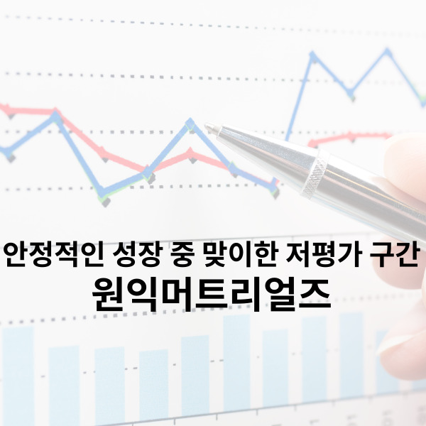 원익머트리얼즈 안정적인 성장 중 맞이한 저평가 구간