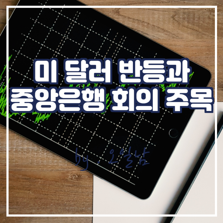 미달러 반등과 금주 중앙은행 회의 주목(ft.금리인상)