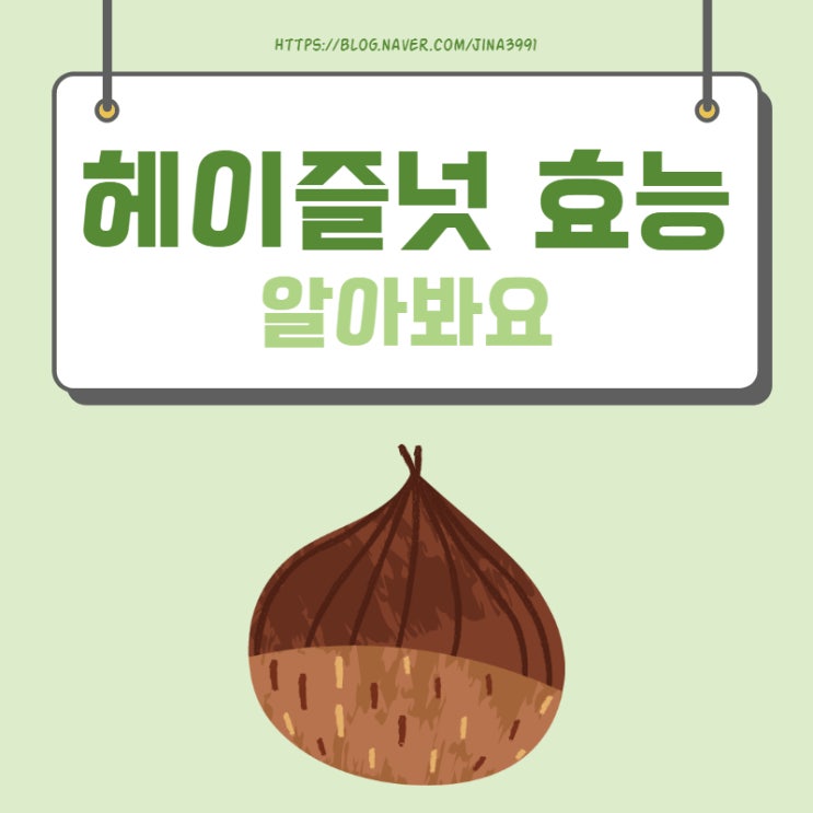 헤이즐넛 효능, 먹어야 하는 이유는?