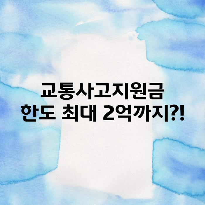  교통사고지원금 한도 최대 2억까지?!