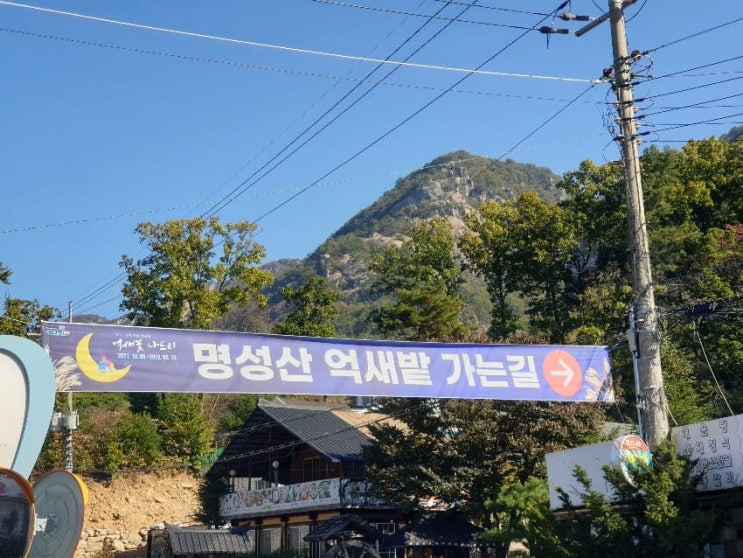  억새꽃 나드리 - 포천 명성산 억새밭 가는길