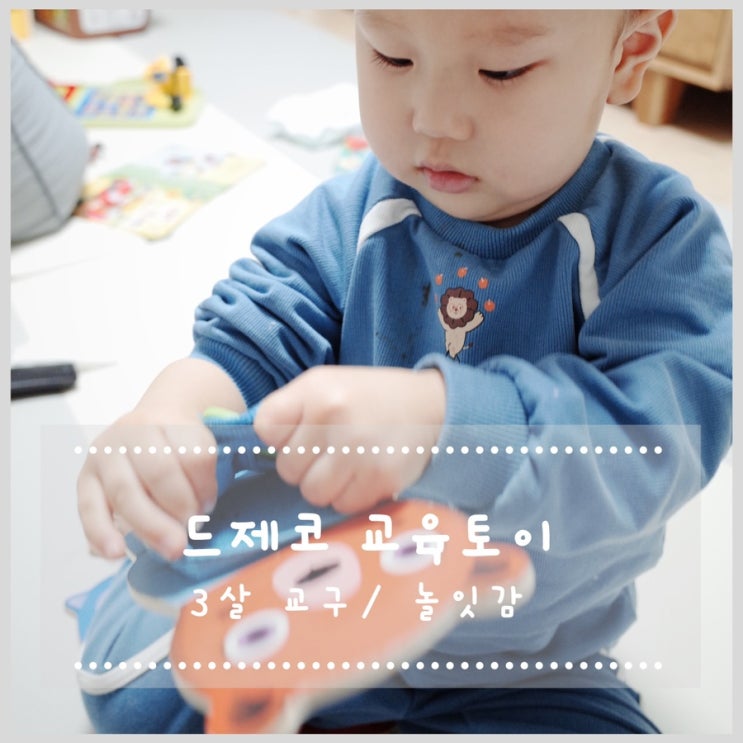  드제코(DJECO) 3살 아이 교육 토이, 교구 사용 후기!