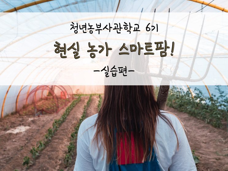 현실 농가 스마트팜(연동하우스, 단동하우스, 권취형 모터 등 설비시설)_211026