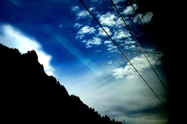  개성이 돋보이는 Damien Rice The Blower's Daughter