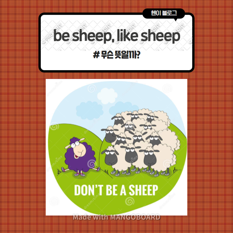  미드 모던패밀리로 보는 영어 표현 <be sheep> 무슨 뜻일까? (in 모던패밀리 시즌3 에피소드2)