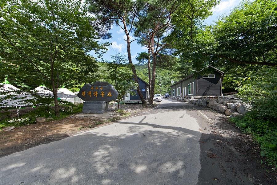 성주산편백하우스 사진 1