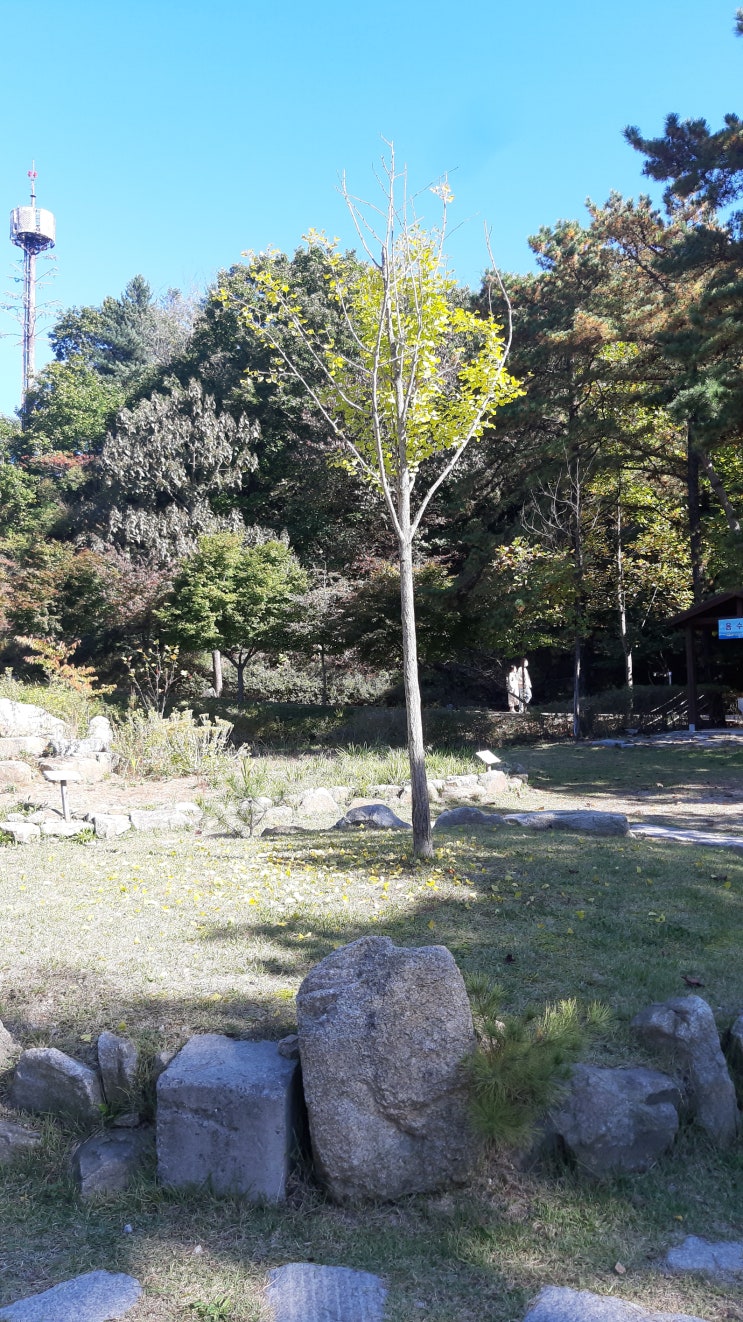 국립 운악산 자연휴양림