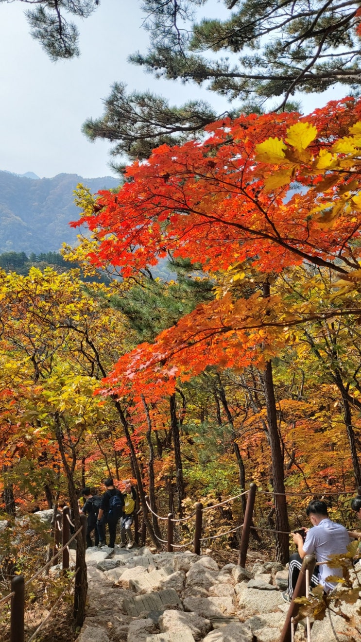 강원도 속초 여행 단풍여행 설악산 외설악 흔들바위 울산바위 초보 산행코스