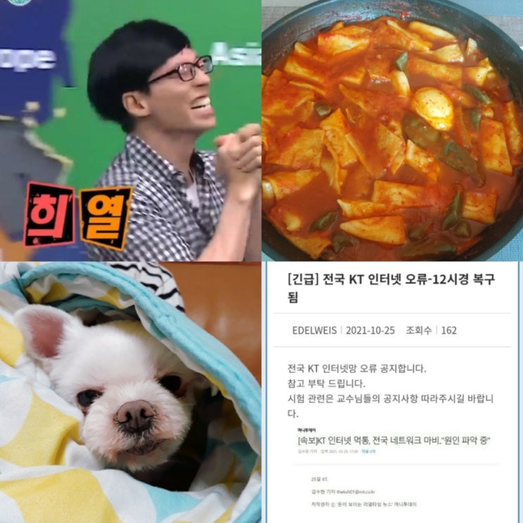  중간고사가 끝나서 세상 행복한 막학기 대학생,,,cc/KT인터넷오류/erp회계/뻥튀기/강아지고양이집사