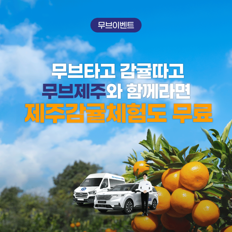  무브타고 감귤따고! 무브제주와 함께라면 '제주감귤체험'도 무료