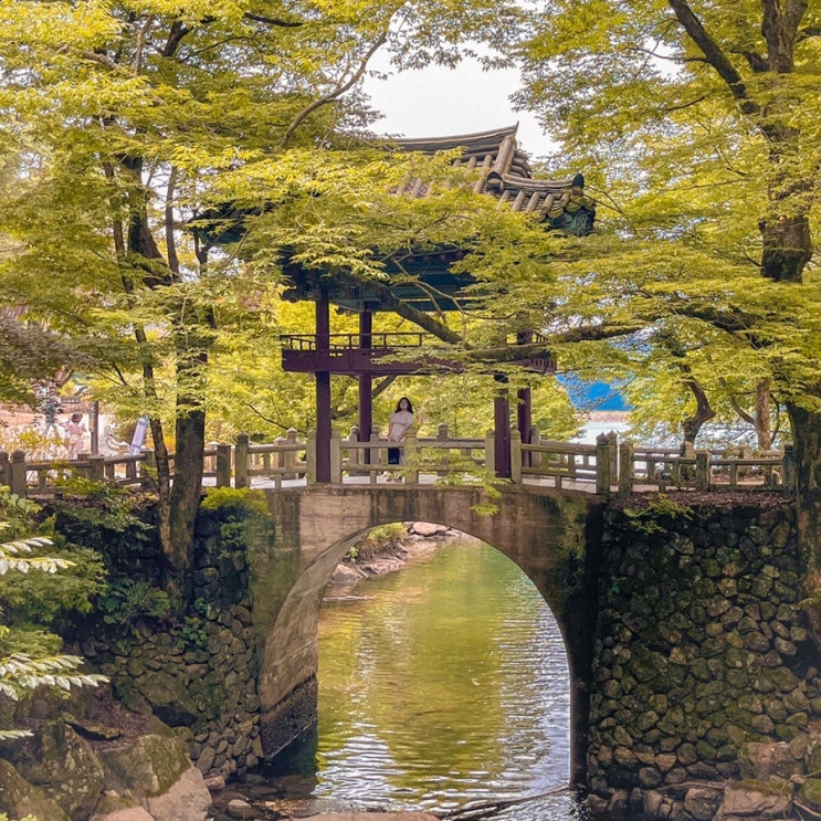  구례 관광지 사찰 천은사; 전남 가을 단풍이 든 지리산 절, 11월에 딱인 언택트 여행지